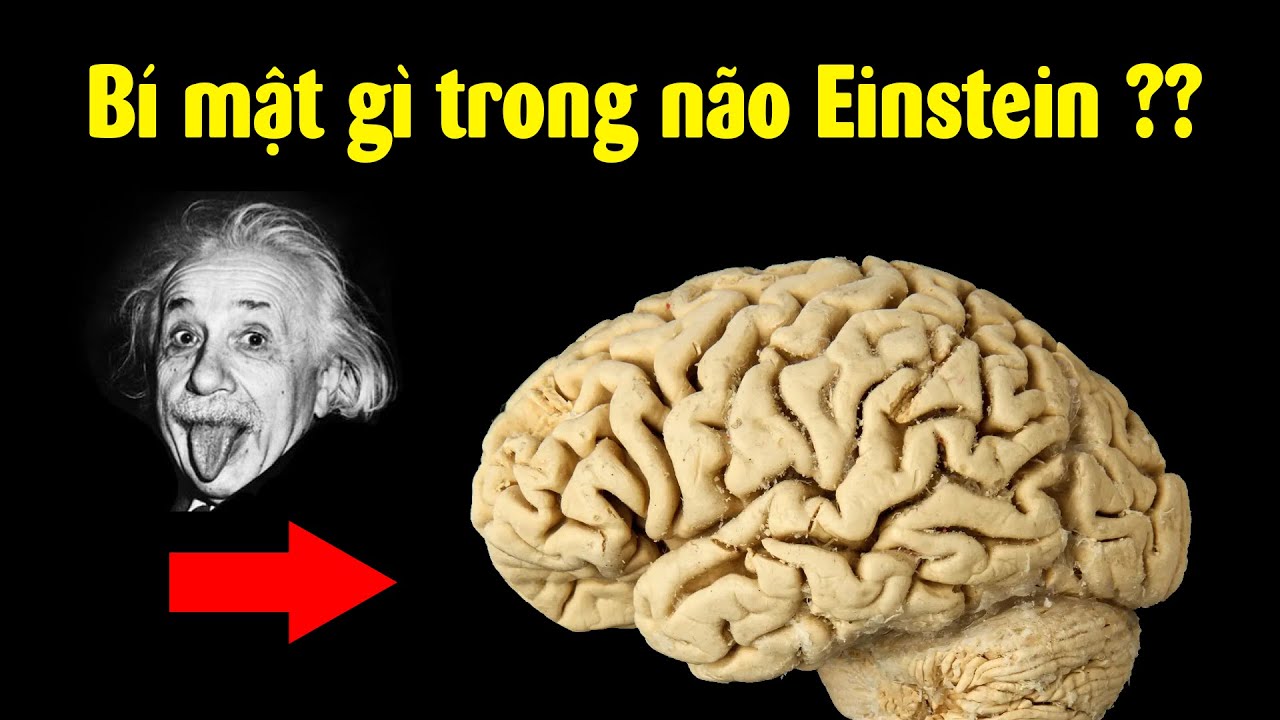 Đây là bí mật trong não Einstein