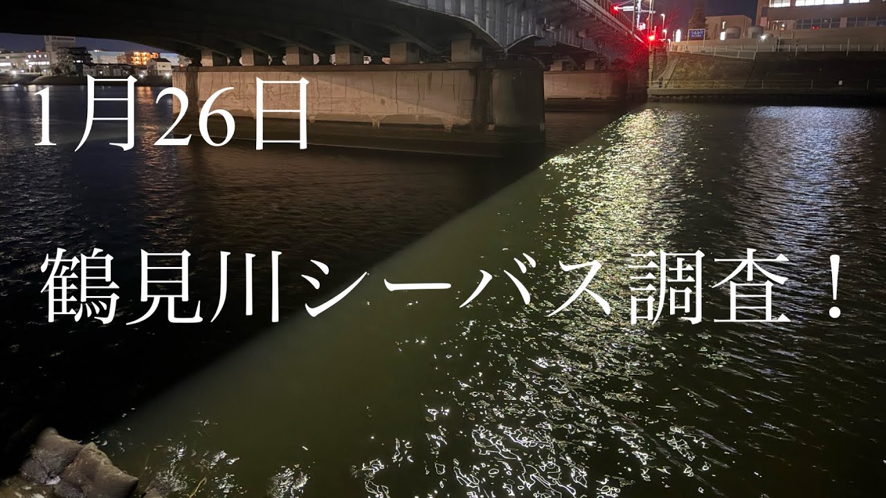 【鶴見川】鶴見川シーバス調査！1月26日！