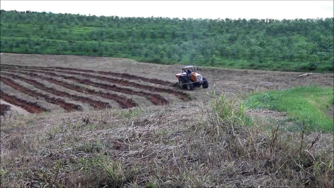Preparo de solo com um subsolador florestal