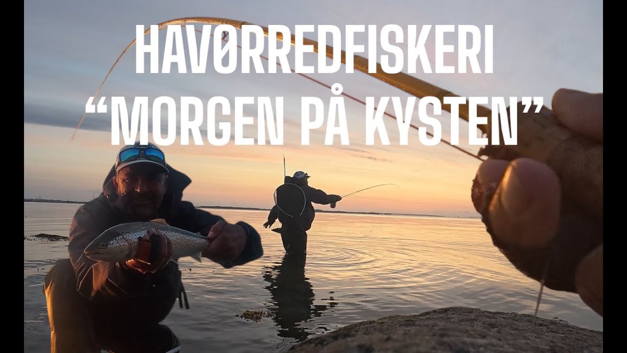 HAVØRREDFISKERI  