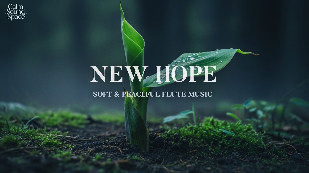 Beautiful and soft flute sounds for total relaxation 🎵 helping you fall asleep faster tonight 😴💫