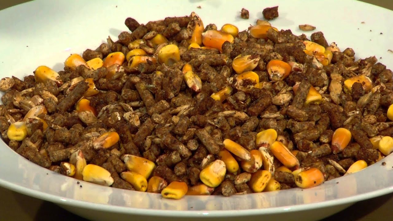 Nourriture d'appâtage pour le chevreuil
