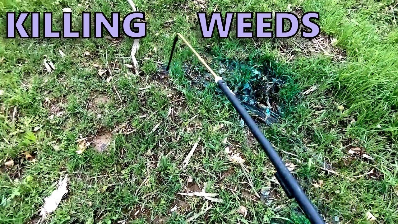 Spraying to Create New Horse Pasture