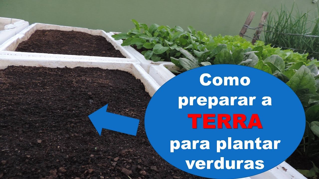 Como preparar a terra para a horta em vasos da HORTA DO DITIAN