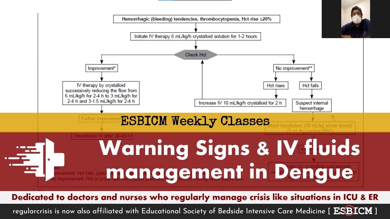 Warning signs and IV fluids management in dengue fever - ESBICM Weekly Classes (unedited) | Dr. Abhi