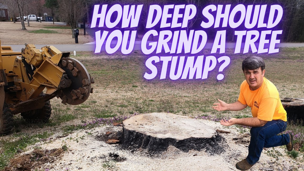 How Deep Should You Grind a Stump?