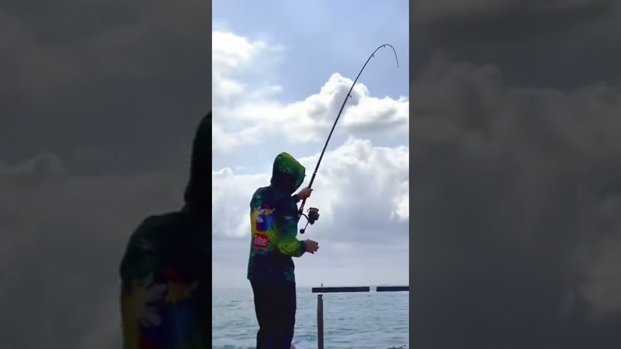 Lure killer saltist reel 10000 screaming 😱