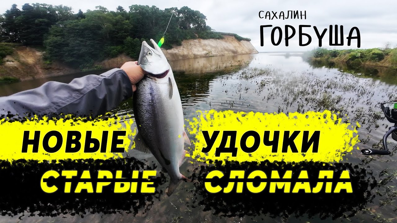 Тест Forsage Nitro S-7`0 | ГОРБУШОВАЯ ЛАГУНА