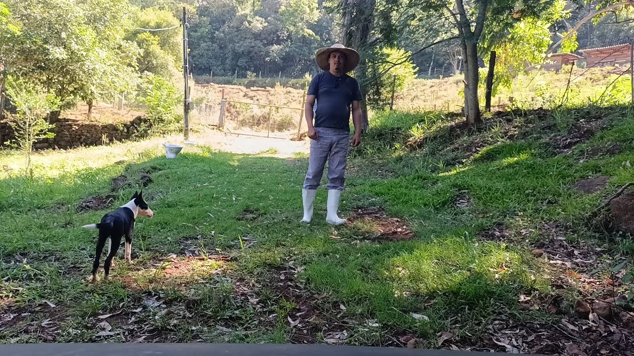 Chegou nosso sofá novo, fizemos algumas mudanças na sala da casa, roçamos o carreiro da entrada 