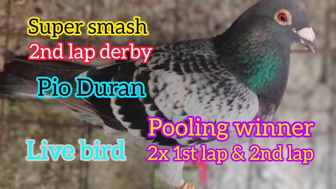 NAG NAUBUSAN ANG 2ND LAP DERBY