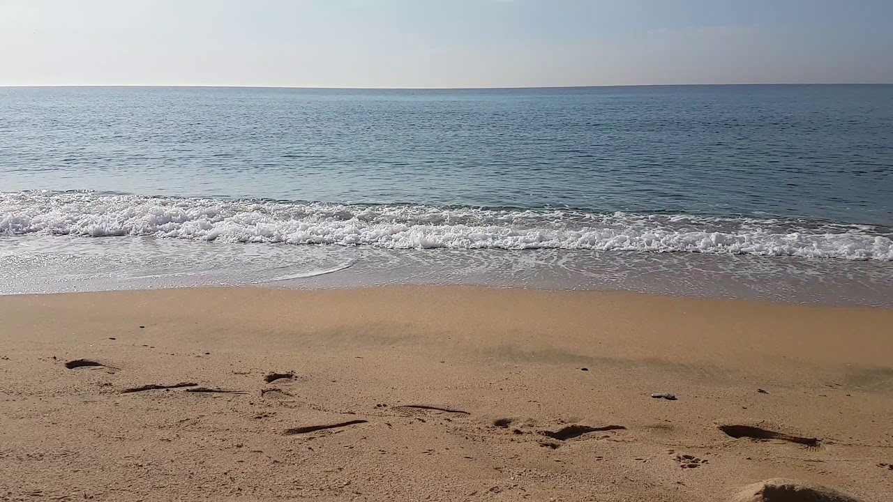 Beach Shore - stock video