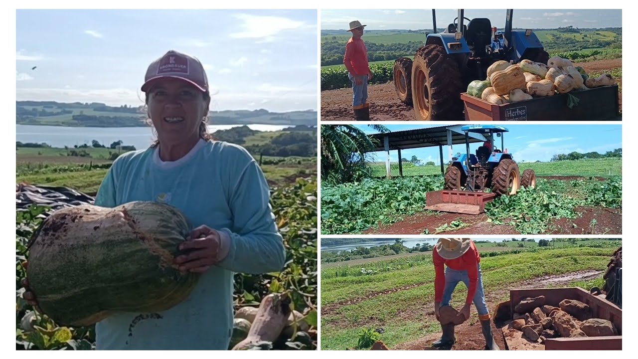 Limpando o lugar para fazer o silo.