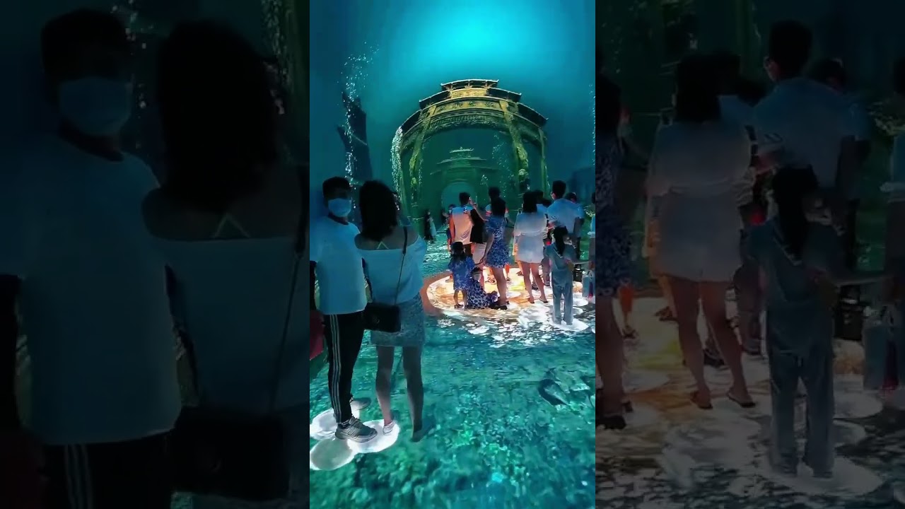 Digital immersion LED tunnel display screen #tech #design #architect #artist #artist