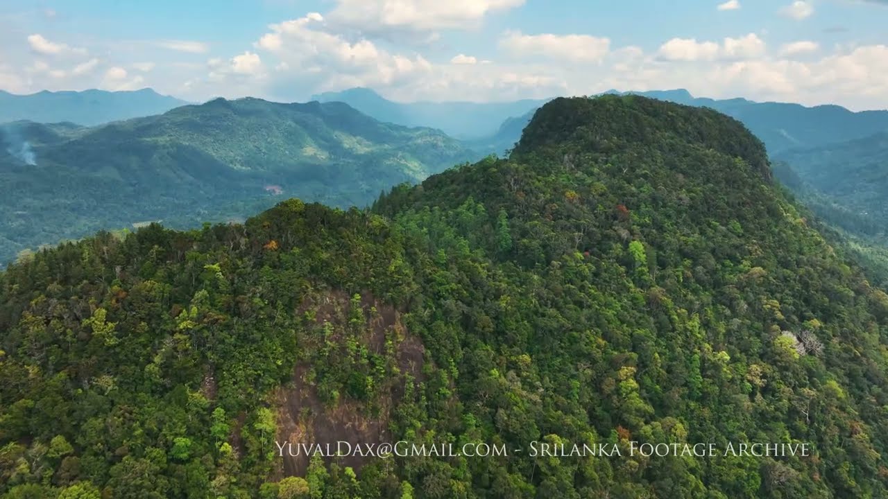 Sinharaja Forest Reserve / Sri Lanka Aerial