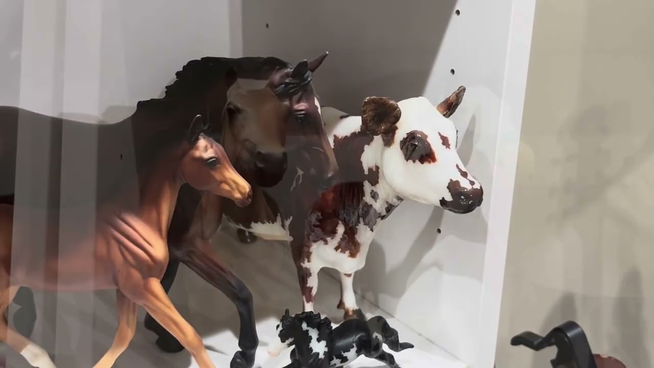 Breyer Horse Collection Tour 2025 (after Breyerfest) 