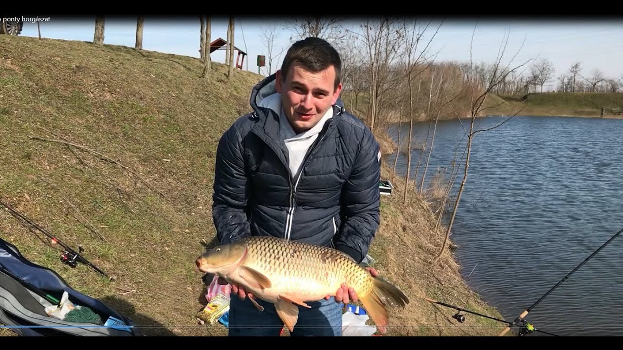 Nyékládháza, Koi 1-es Tó, tavaszi ponty horgászat