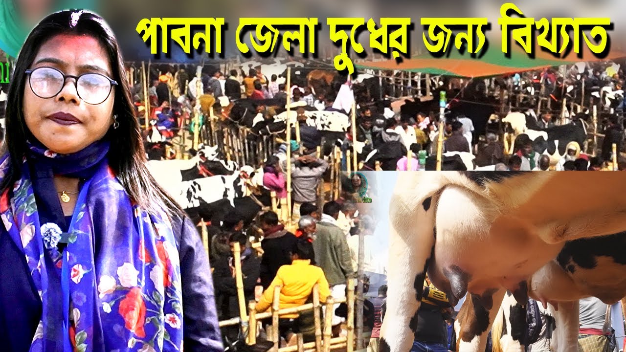 পাবনা জেলা দুধের জন্য বিখ্যাত   MUNNI KRISHI CHITRO
