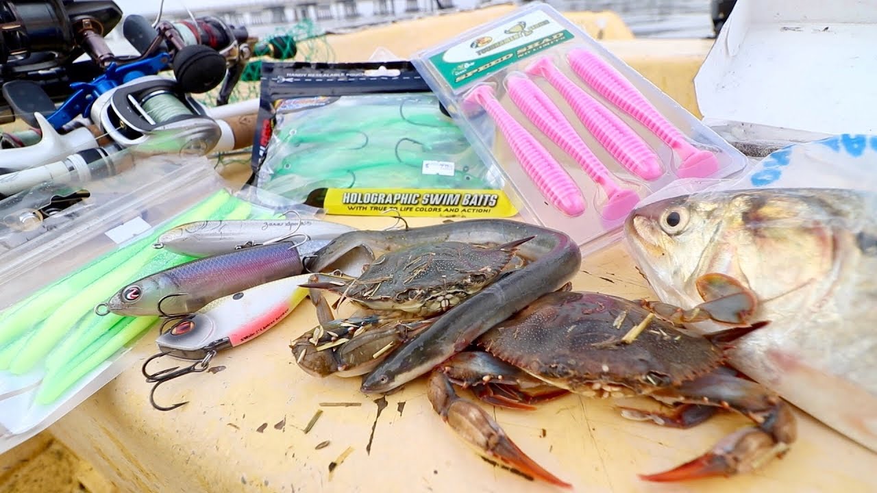 LIVE BAIT vs. ARTIFICIAL LURE Fishing Challenge -- SALTWATER Edition!!!