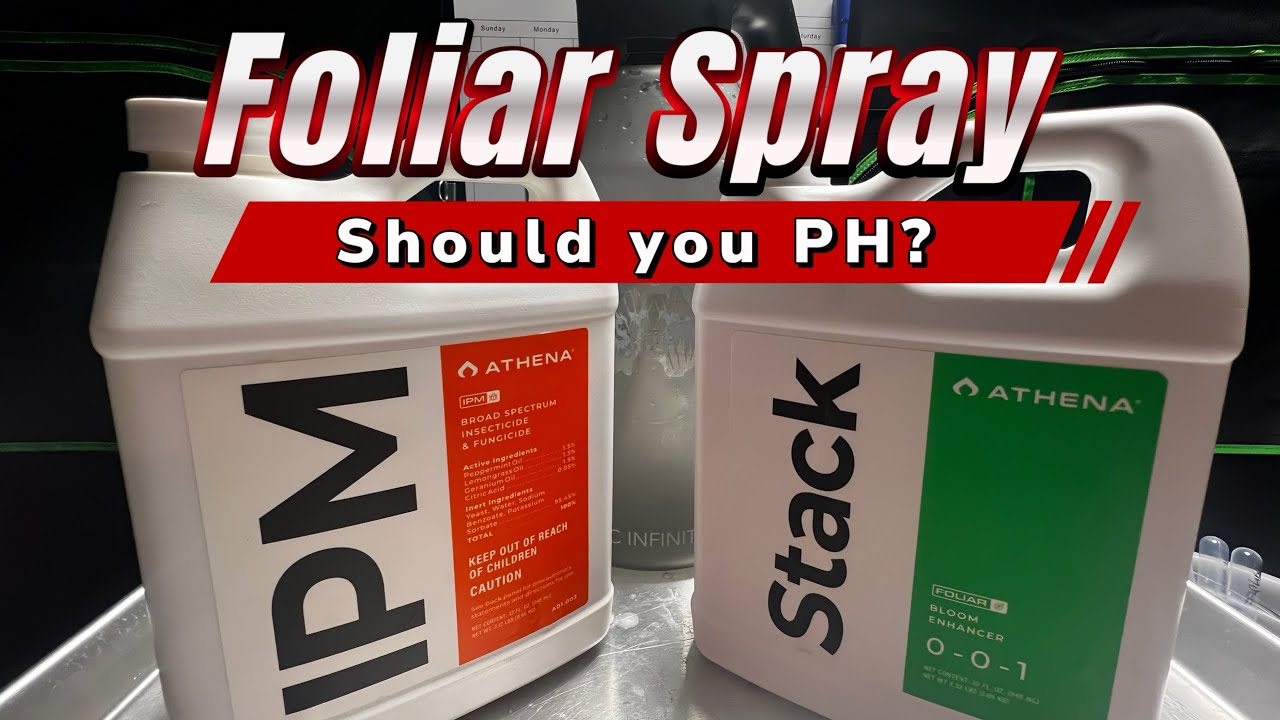 Стоит ли добавлять pH в опрыскивание листьев? Athena IPM и Stack