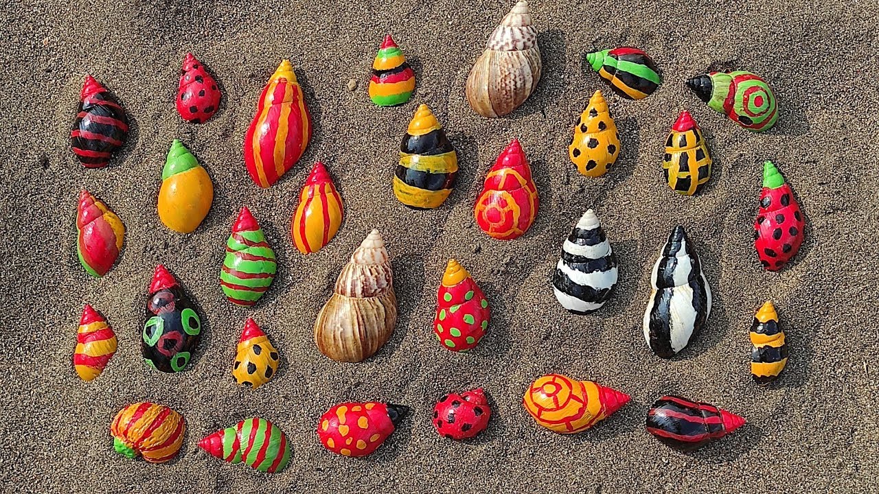 Wadidaw! Mencari kaki seribu, luwing, siput, ikan hias, ikan, bekicot, kura kura bebek lucu,kelomang
