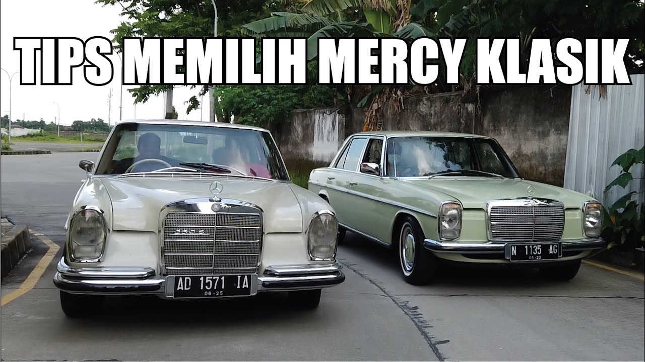 Tips Memilih Mercy Klasik | Mercy Classic Indonesia | Mercy Mini & Mercy Kebo Part 2