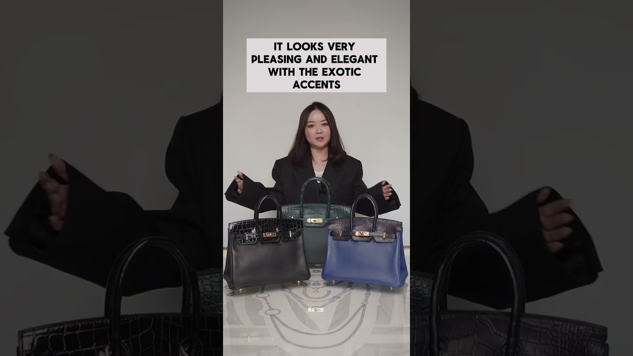 Review on the Hermes Birkin Touch