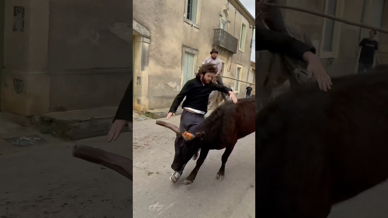 Solo attrapa&iuml;re &agrave; Codognan