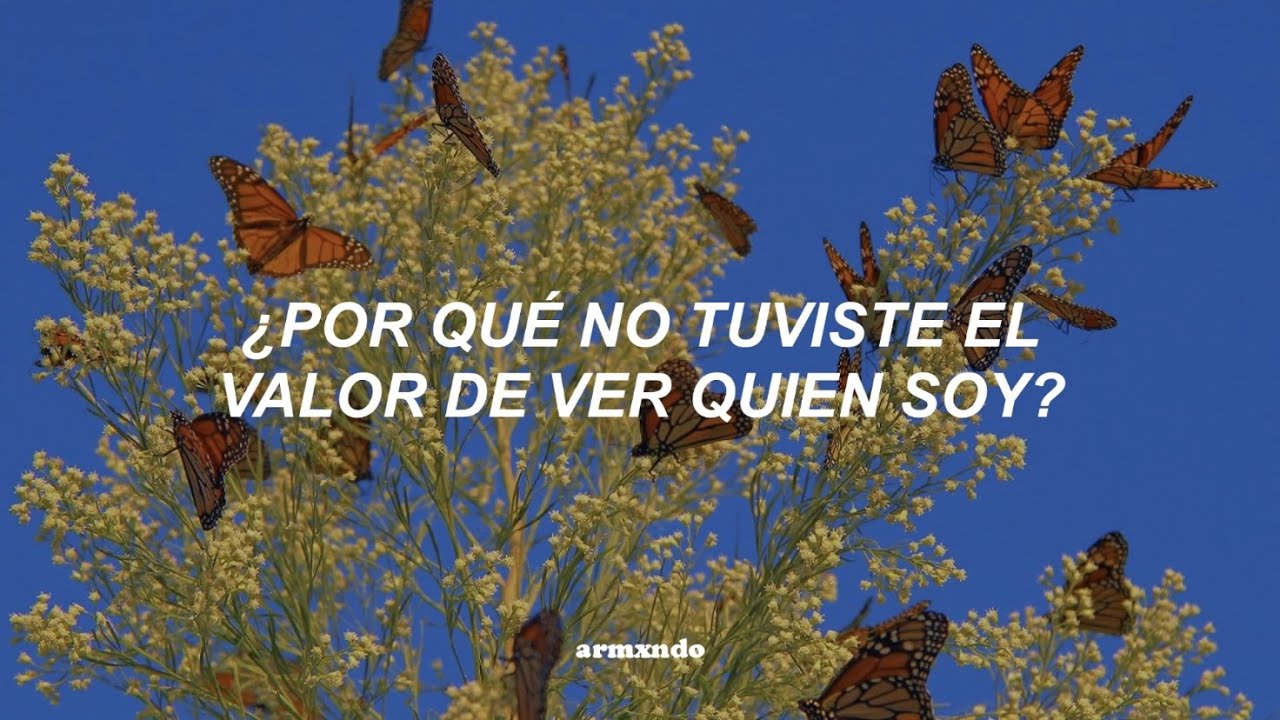 Julieta Venegas &mdash; Me Voy [Letra]