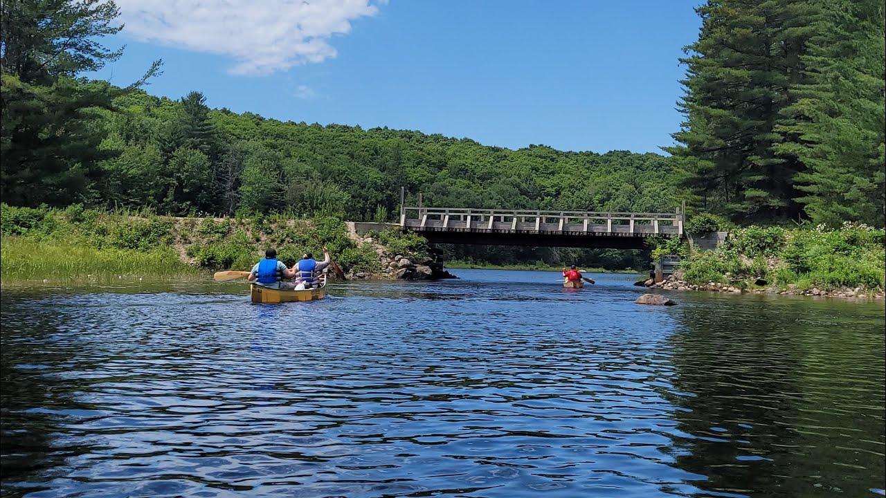 Algonquin's Shirley Lake 2022