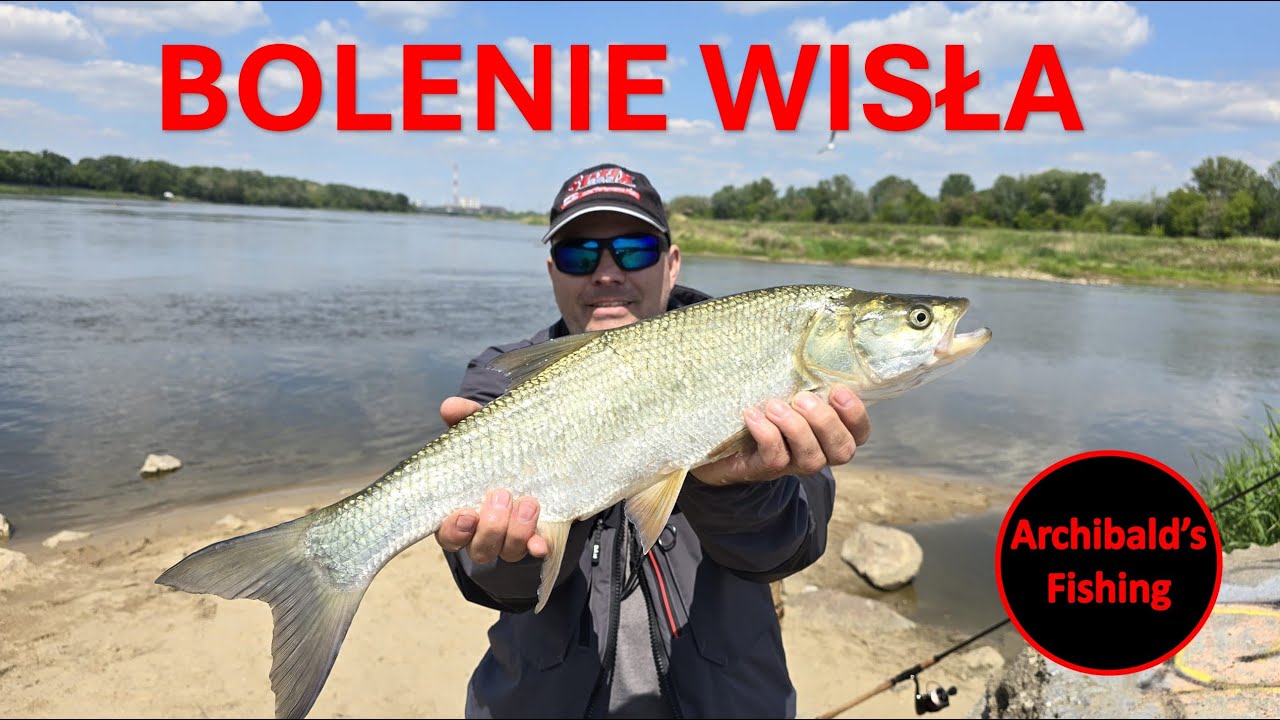 Odcinek # 87 Bolenie Wisła