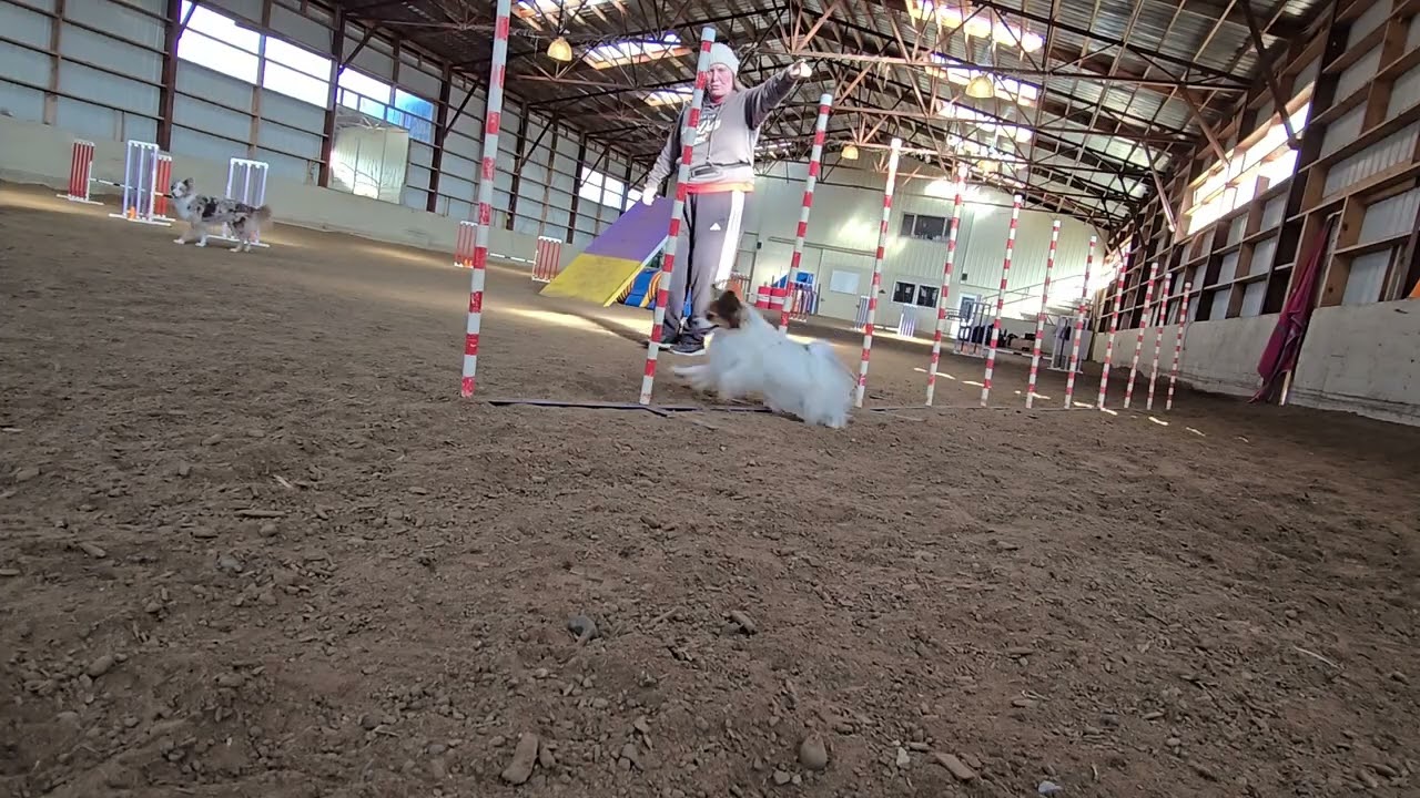 Training February 2026C