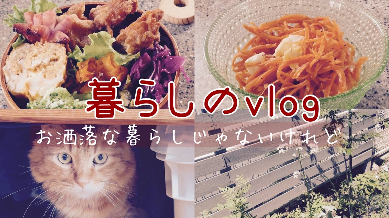 今庭 𖡼.𖤣𖥧𖡼.𖤣𖥧⚘ 作り置き/母の日𖤣𖥧𖥣｡60歳でもAIで作曲♪ garden/leftover food/Composing with AI even at age 60