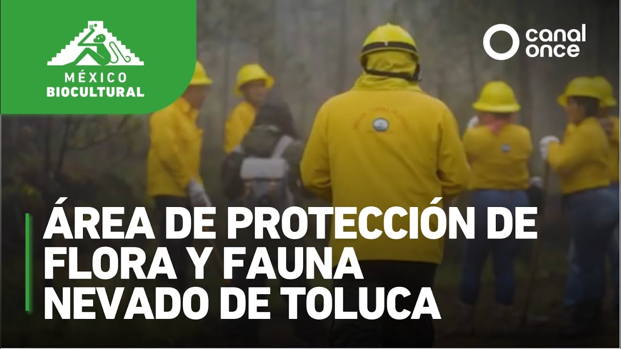 México biocultural - Área de Protección de Flora y Fauna Nevado de Toluca (03/03/2025)