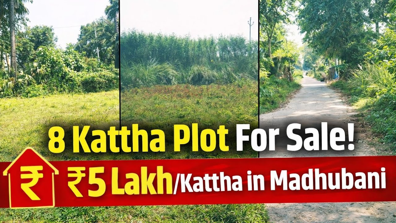 Madhubani Me 8 Kattha Plot Sirf ₹5 Lakh/Kattha | Best Land Deal 2026 #plotforsale #zameenforsale 