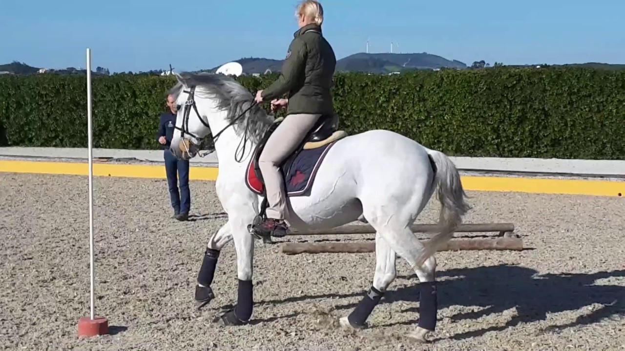 Working Equitation lesson with Pedro Torres