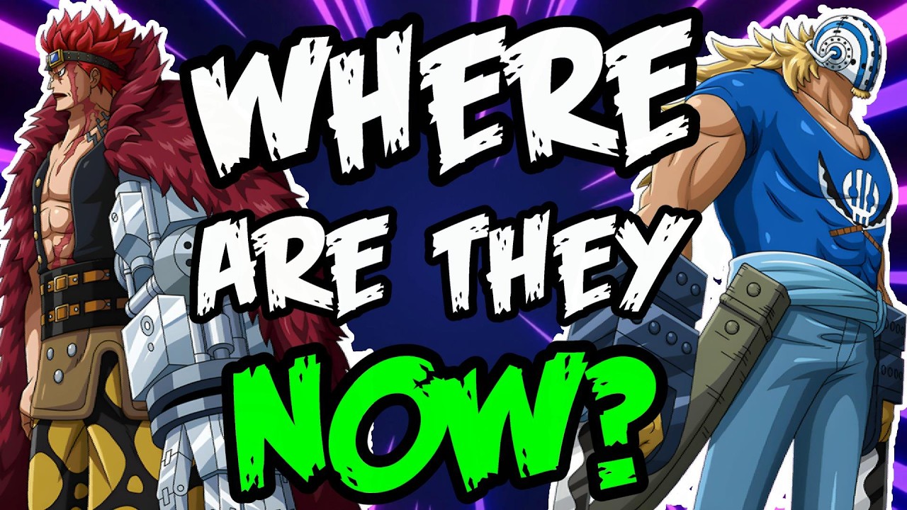 Current Status of All Supernovas In One Piece!!
