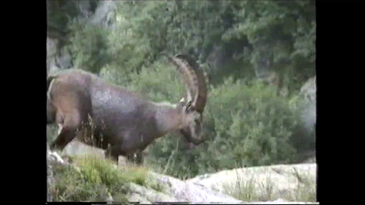 Trekking nelle alpi Marittime -Alta via dell'Argentera