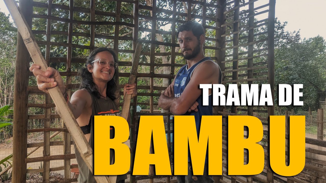 Construindo nossa Cabana de Pau a Pique: A Trama do Bambu! 🎋