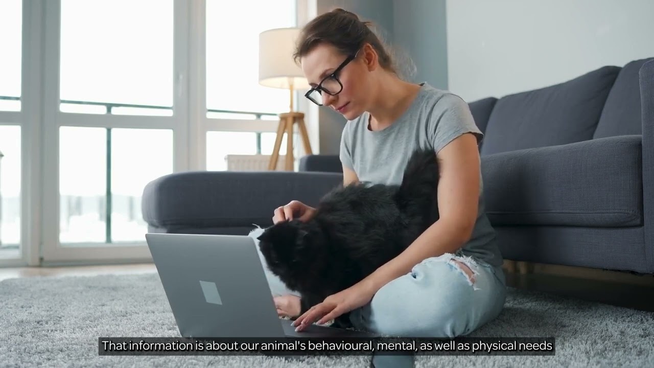 Companion Animals New Zealand - A Good Life
