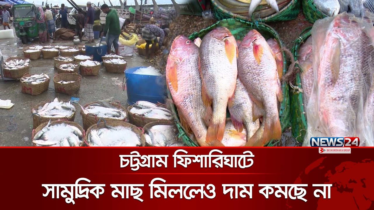 চট্টগ্রাম ফিশারিঘাটে সামুদ্রিক মাছ মিললেও দাম কমছে না | CTG Fishary Ghat | News24