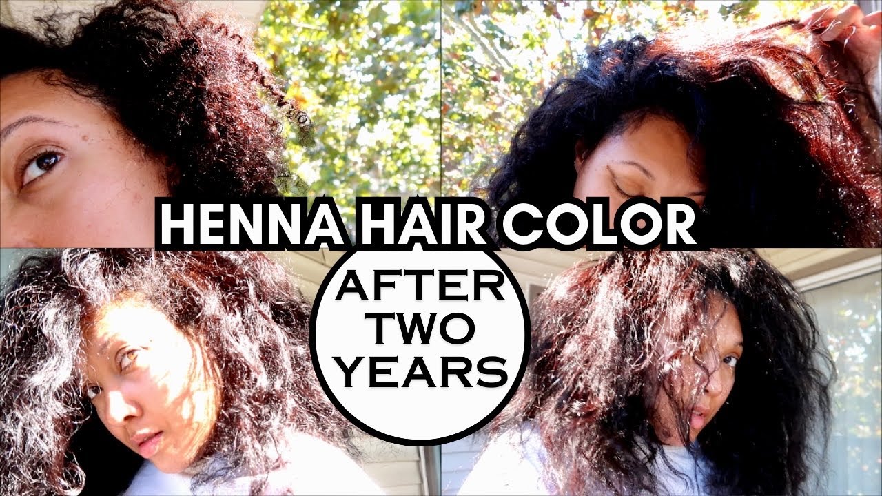 COLOR UPDATE AFTER 2 YEARS OF HENNA on CURLY HAIR | 2024 | Ashkins Curls
