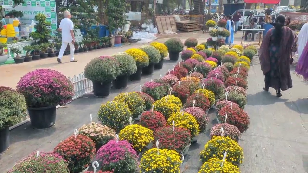 The grand Indian nursery mela - Hyderabad - Jan'2026 - My visit