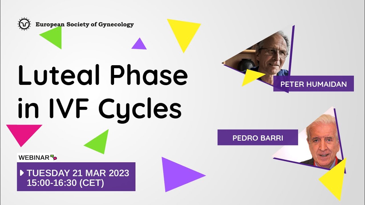 Luteal Phase in IVF Cycles