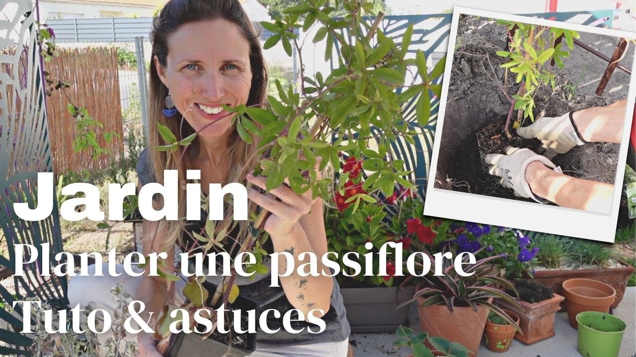 🌿 Planter et tuteurer une passiflore | Tuto jardin & plantes grimpantes 👩🏼‍🌾