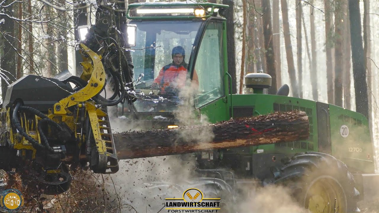 WALDSTERBEN I John Deere 1270D Harvester im Starkholz