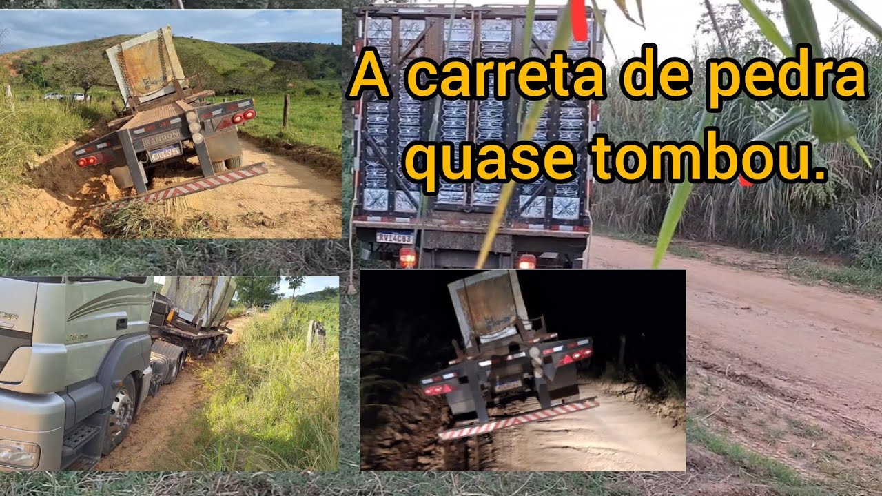 #208.Deixei o caminhão pra traz de novo + Transporte de 11 bezerros e 4 vacas.😆😆😆