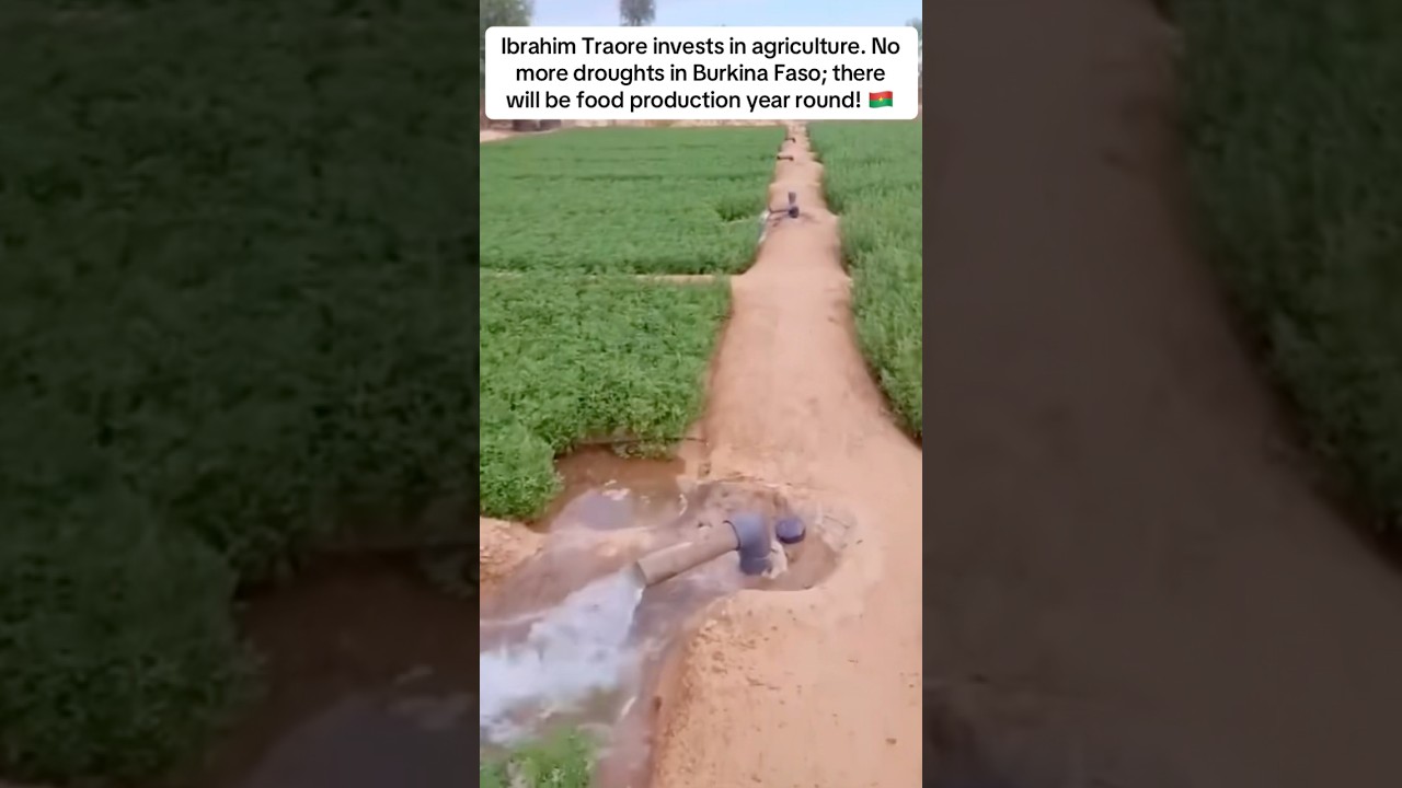 Ibrahim Traore invests in agriculture. Farmers will grow crops year round in Burkina Faso 🇧🇫