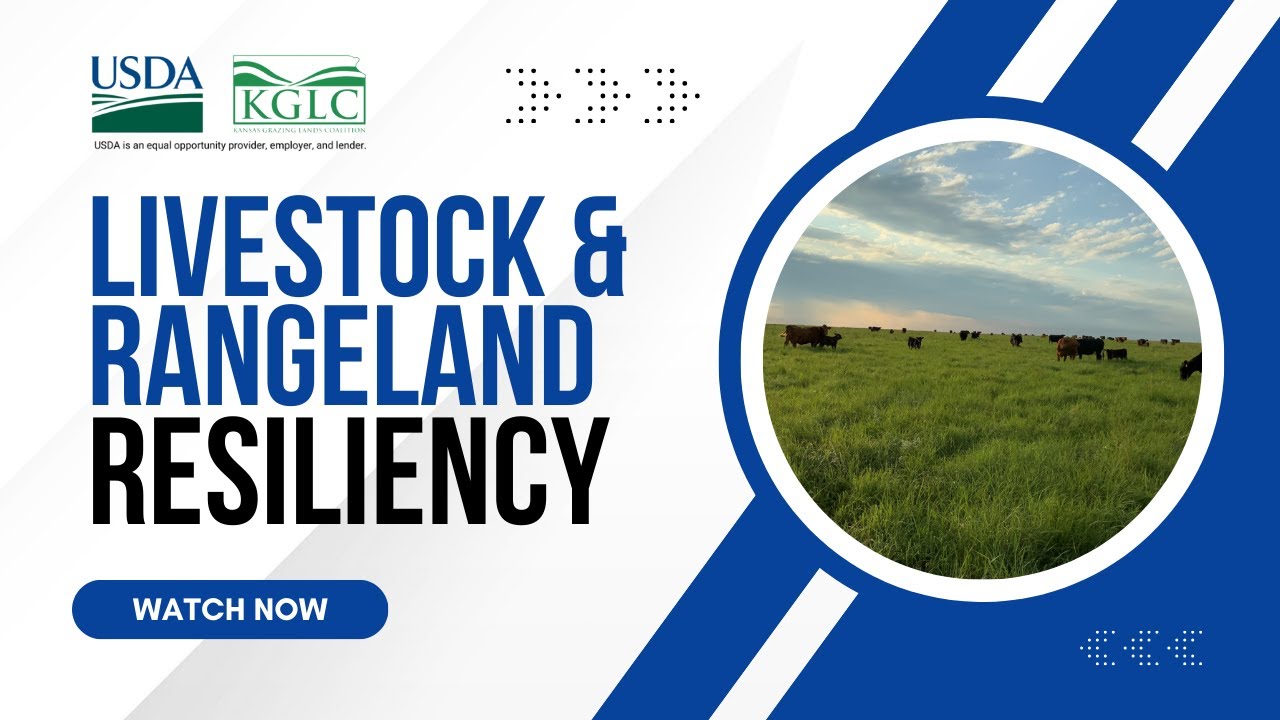 Shortgrass Strategies for Livestock & Rangeland Resiliency | Keith Harmoney 2024 Presentation