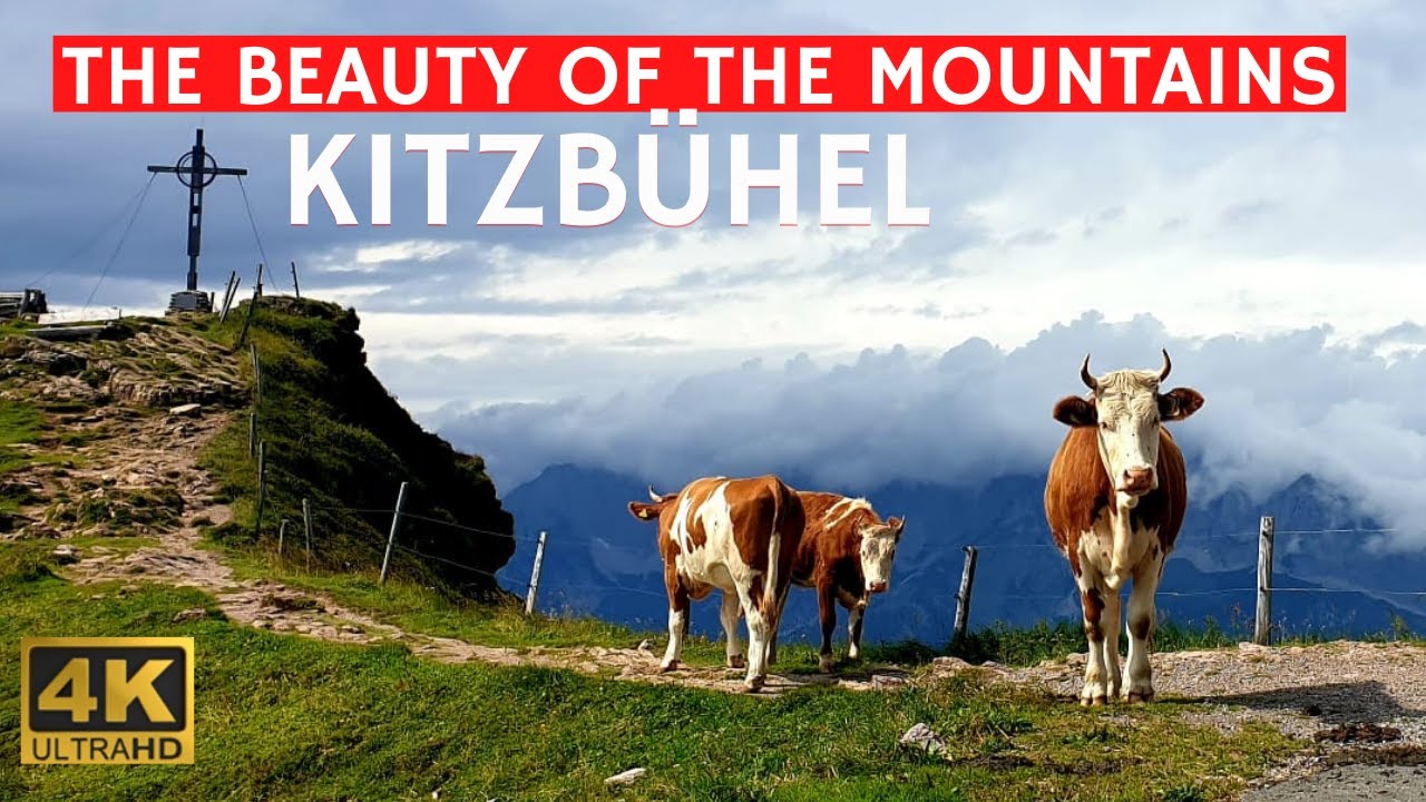 Kitzbühel Alps 🇦🇹 Endless Mountain Views from Kitzbüheler Horn at 2,000 meters #ExploreAustria