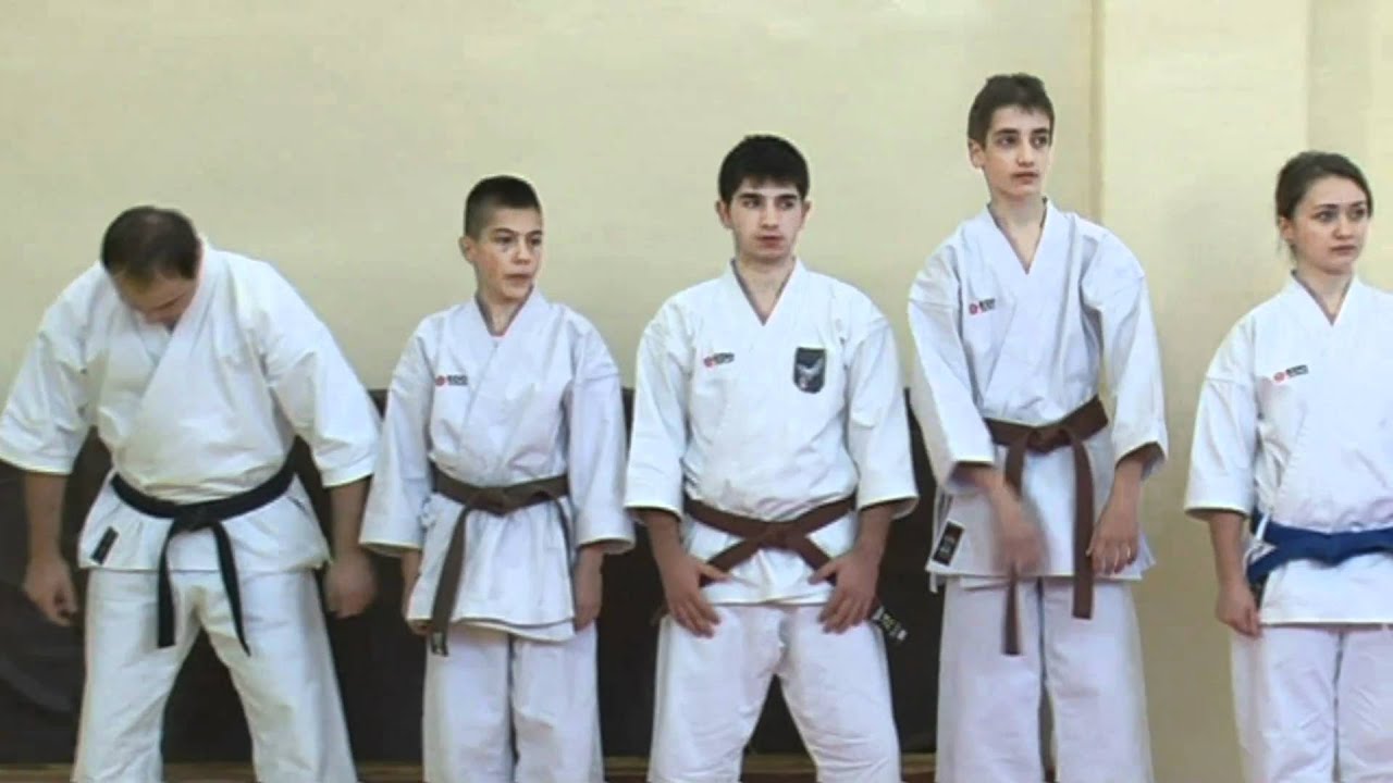 Demonstratie Karate Traditional Shiro Washi - Part. 3